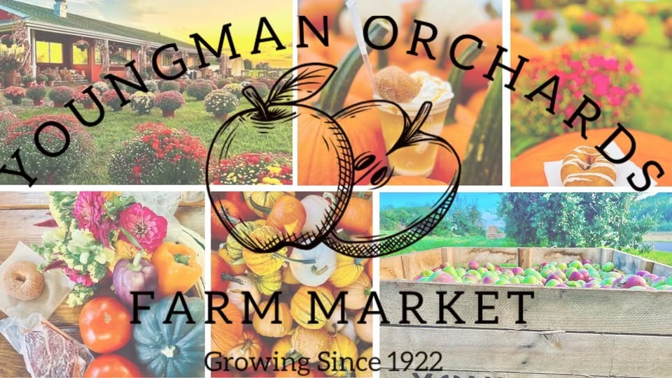 Youngman Orchards Farm Market